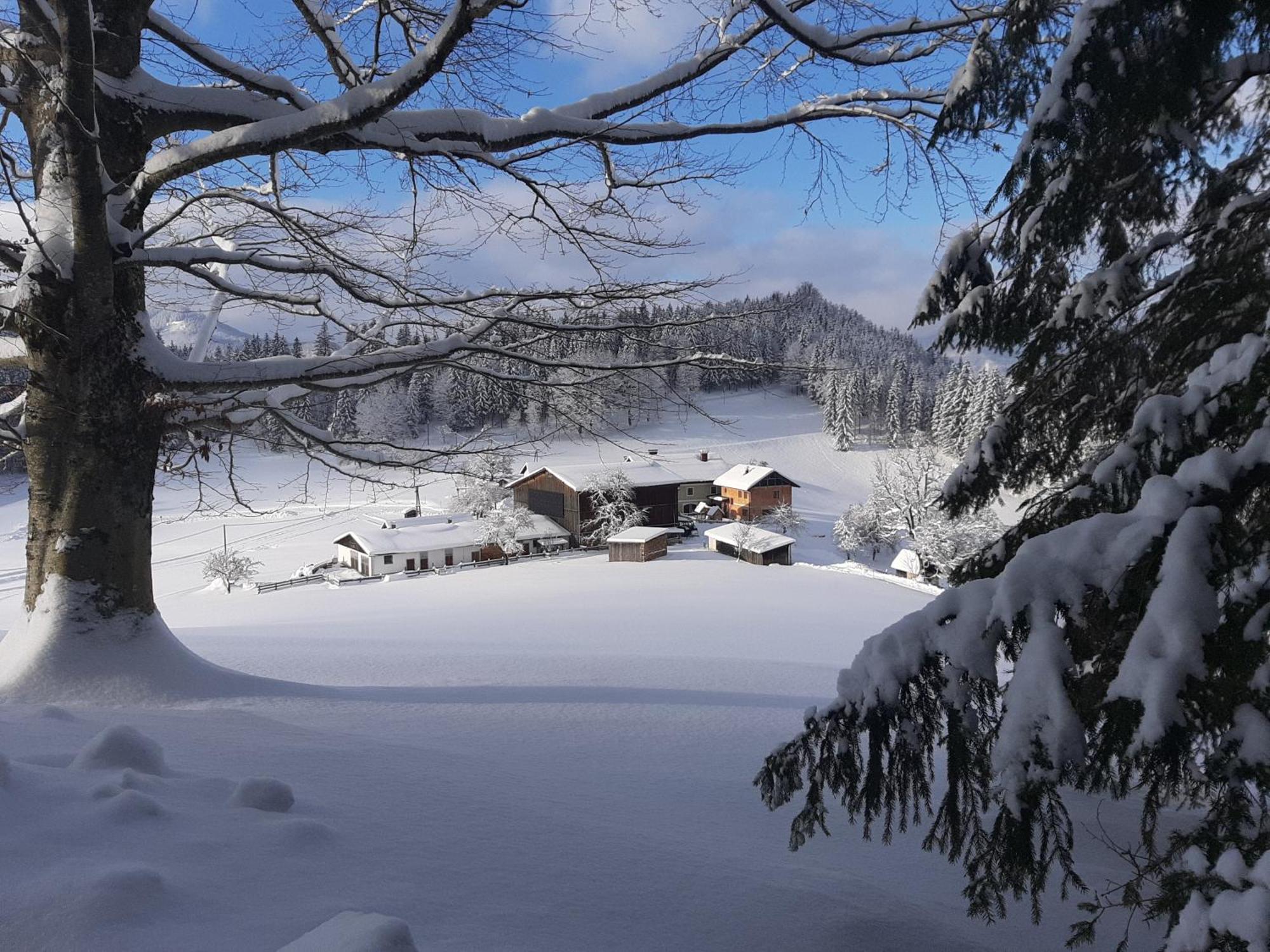 Bauernhof Ablass Goestling an der Ybbs Luaran gambar