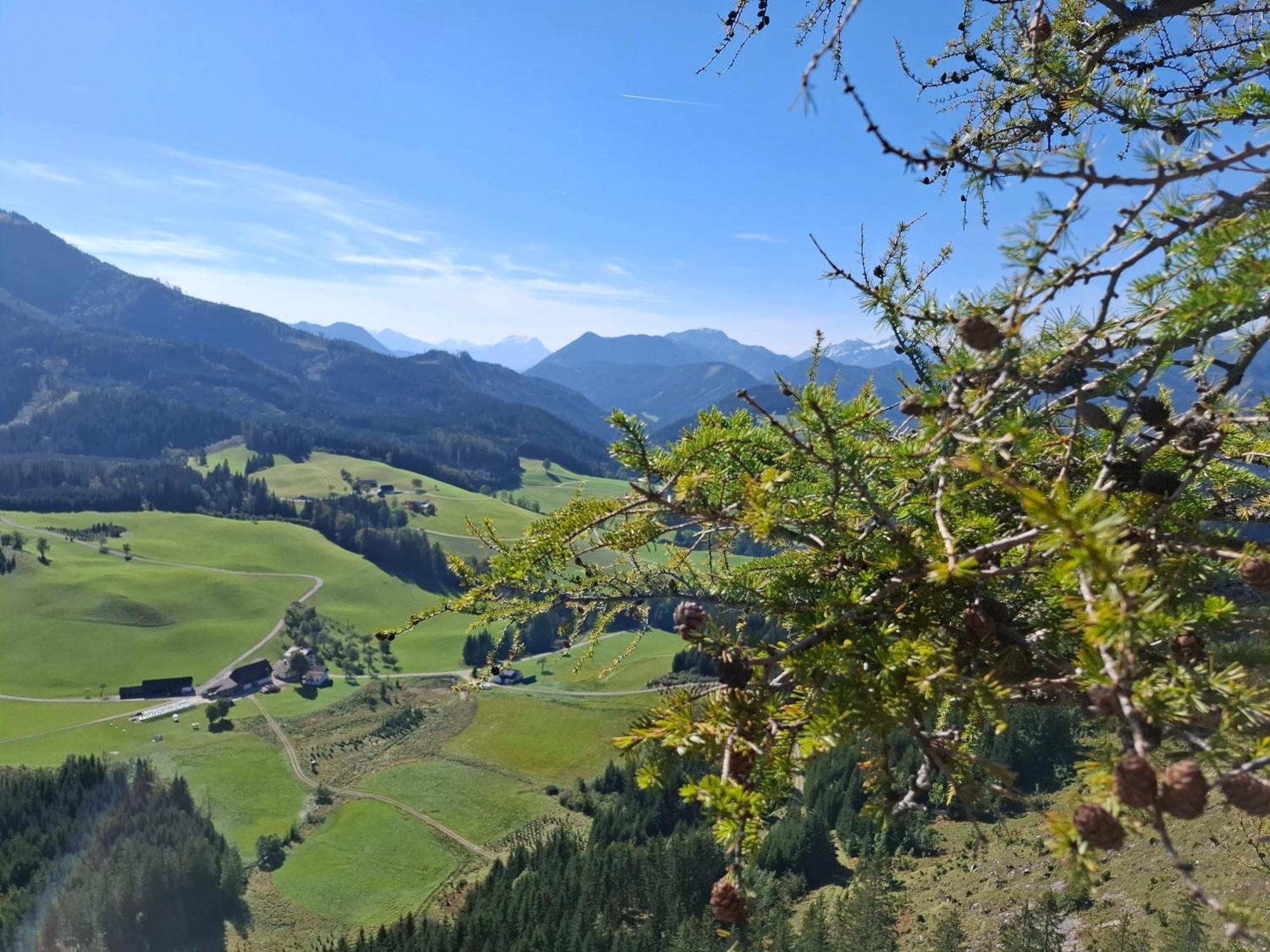 Bauernhof Ablass Goestling an der Ybbs Luaran gambar