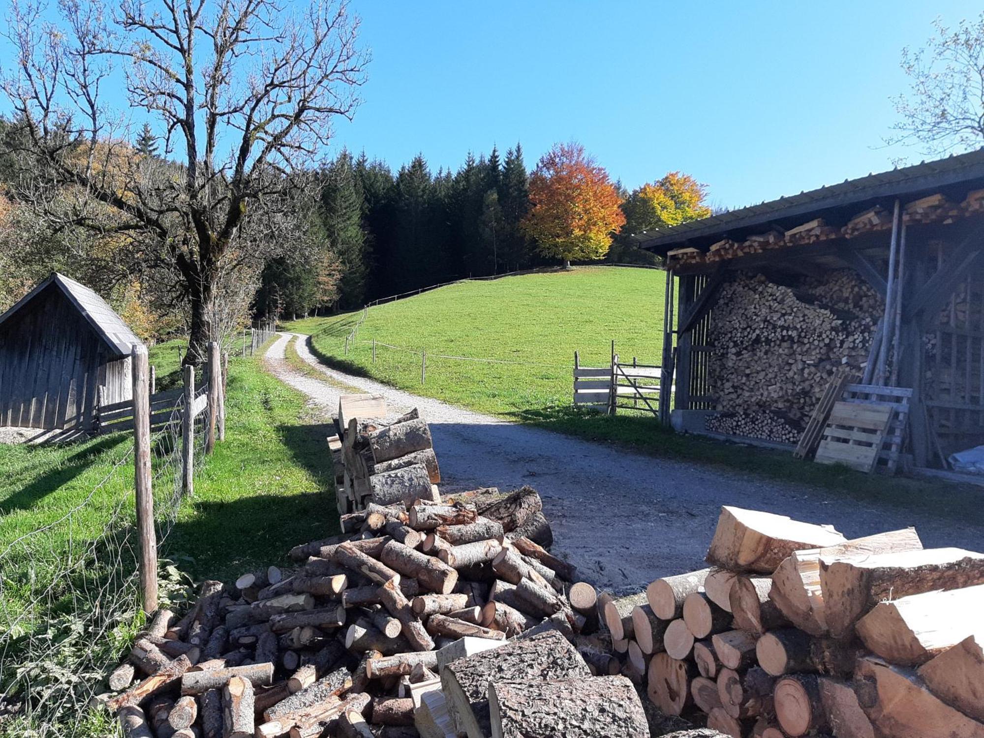 Bauernhof Ablass Goestling an der Ybbs Luaran gambar