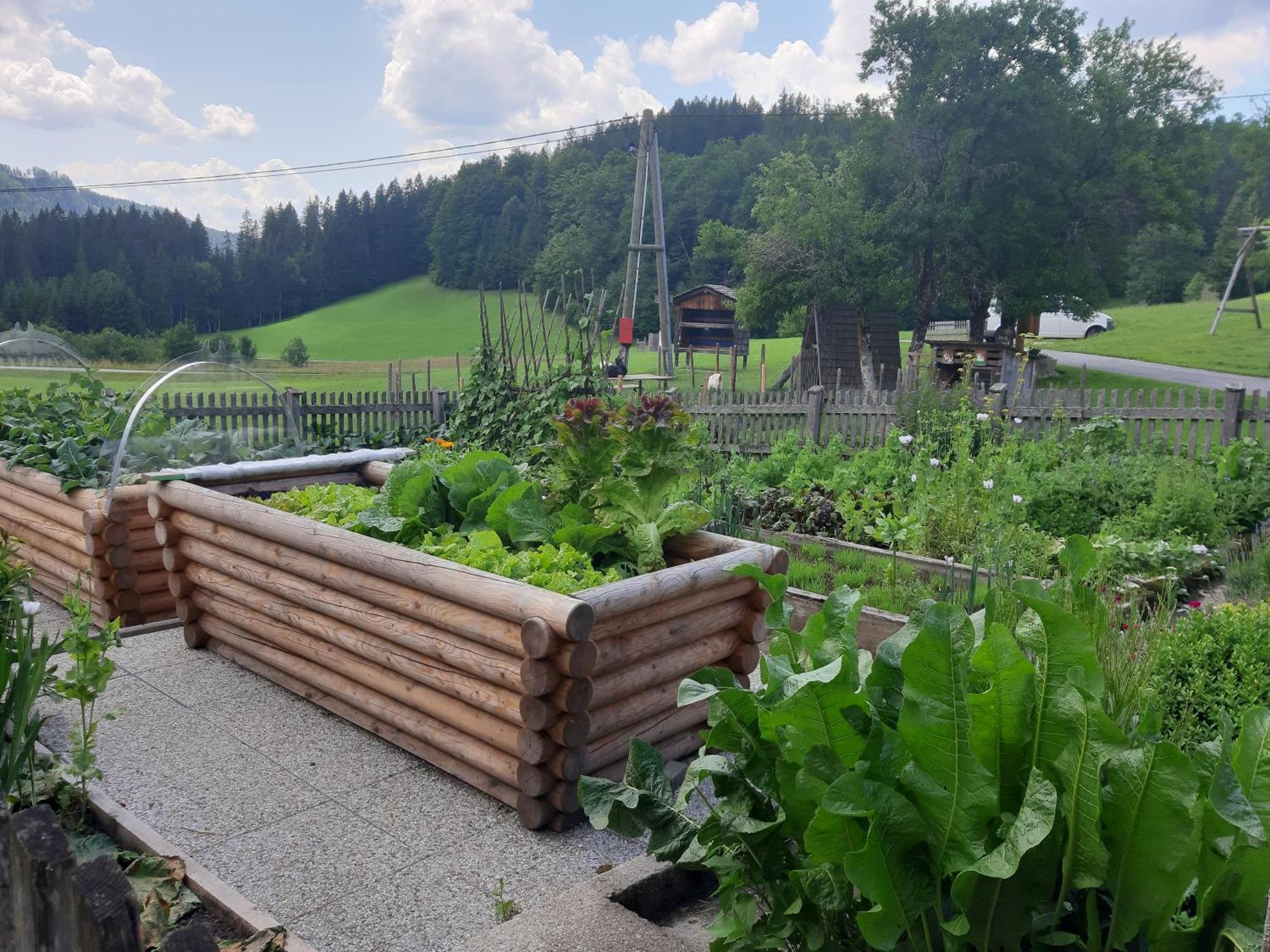 Bauernhof Ablass Goestling an der Ybbs Luaran gambar